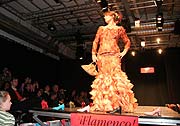 Flamenco! Modenschau in der Pasinger Fabrik am 17.11.2007 (Foto. Martin Schmitz)